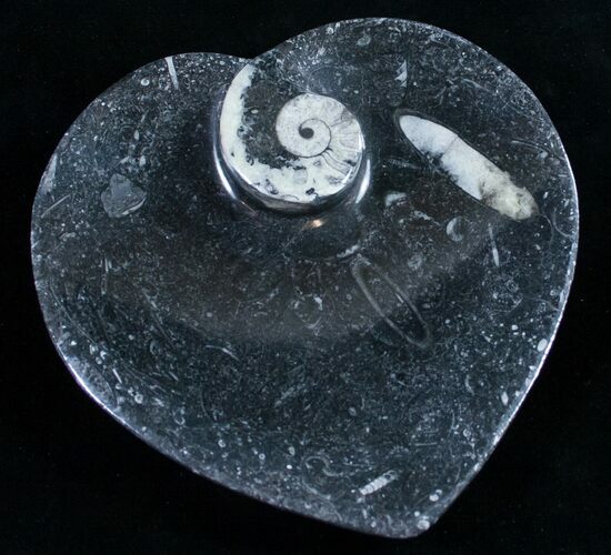 Heart Shaped Fossil Goniatite Dish #9004